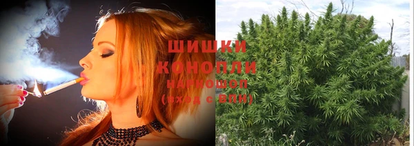 мяу мяу мука Пролетарск