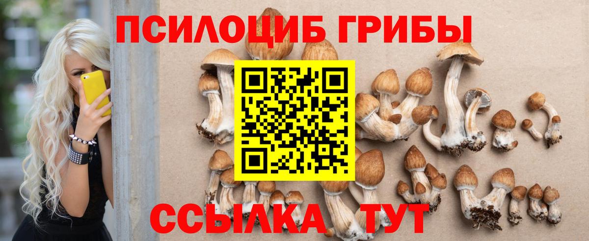 Галлюциногенные грибы мицелий  Галлюциногенные грибы Magic Shrooms  Апшеронск 